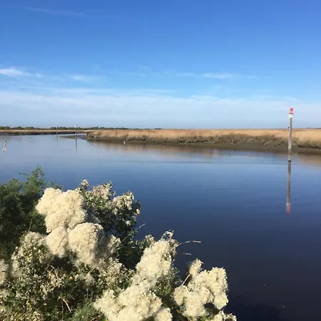 Tranquille Отель типа 