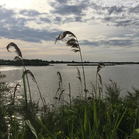 Tranquille Le Teich