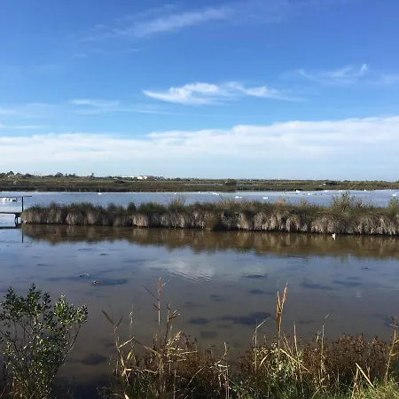 Tranquille Ле-Теш