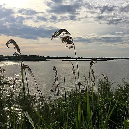 Tranquille Отель типа 
